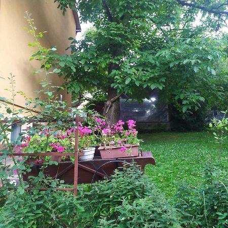Apartament W Domu Na Wsi Tomaszów Lubelski Exterior foto