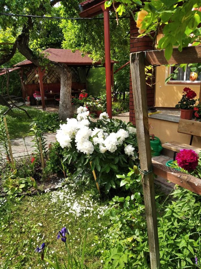 Apartament W Domu Na Wsi Tomaszów Lubelski Exterior foto