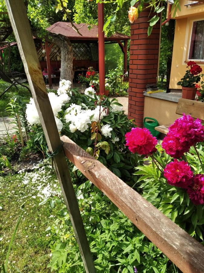Apartament W Domu Na Wsi Tomaszów Lubelski Exterior foto