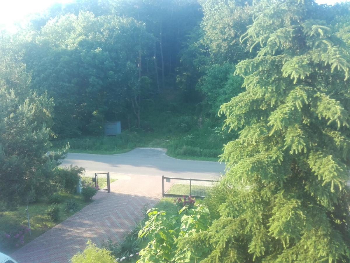 Apartament W Domu Na Wsi Tomaszów Lubelski Exterior foto